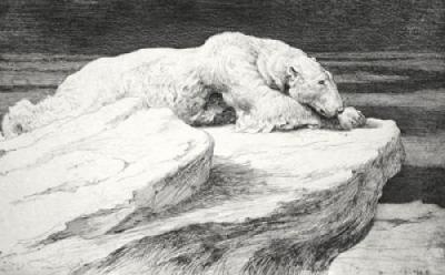 Polar Bear at Rest (Restrike Etching) art print by Herbert Thomas Dicksee