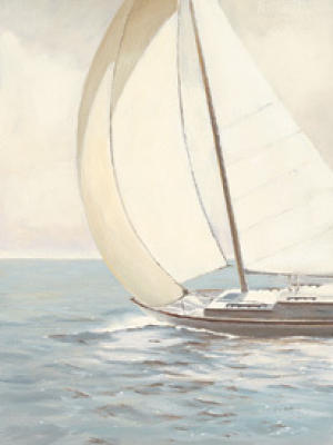 Swift Winds