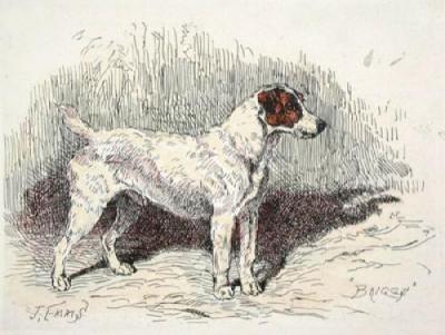Hound, Briggs (Restrike Etching)