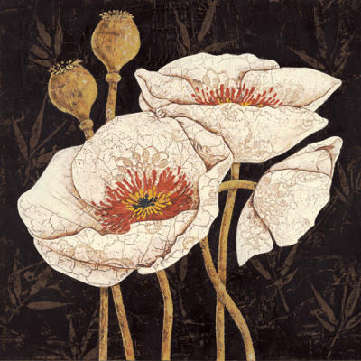 Night Flowering