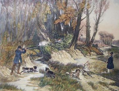 Woodcock (Restrike Etching) art print by Richard Barrett Davis
