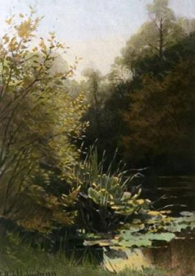 Rushes and Lily Leaves (Restrike Etching) art print by Georgina M De L'Aubiniere