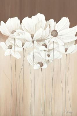 Poetic Poppies