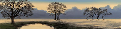 A Perfect Morning I
