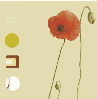 Poppy
