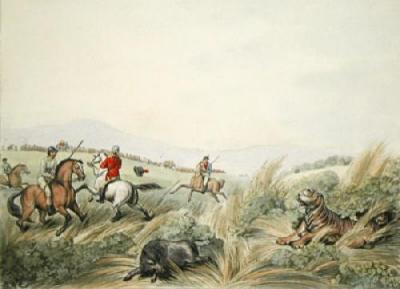 Hog hunters - tigress and cubs (Restrike Etching) art print by Samuel Howitt