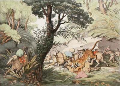 Tiger Seizing a Bullock (Restrike Etching) art print by Samuel Howitt