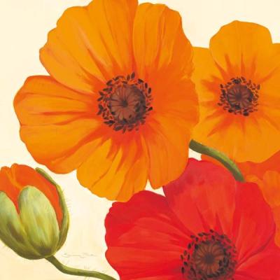 California Poppies