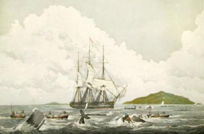 Southsea Whale Fishery (Restrike Etching) art print by W.J. Huggins