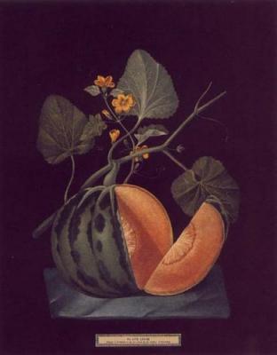 Melons