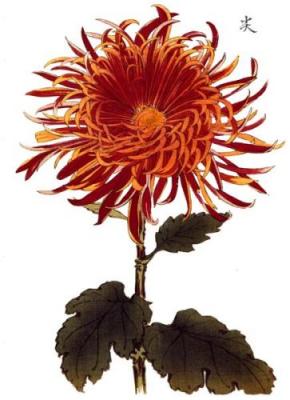 Red Tip art print by Kikka Hasegawa