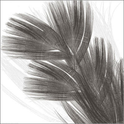 Plumes 1
