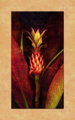 Pineapple art print by John Seba