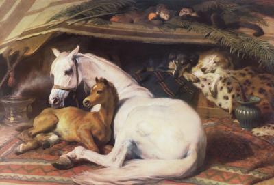 Arab Tent art print by Sir Edwin Henry  Landseer