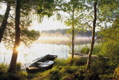 The Water's Edge
