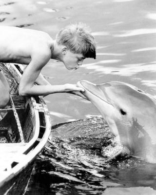 Flipper