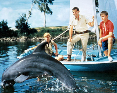 Flipper