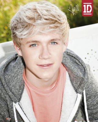 Nial  Direction on One Direction   Niall By Anonymous Poster   Worldgallery Co Uk