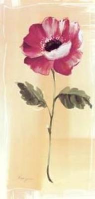 Poppy