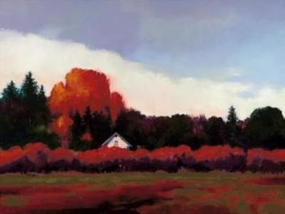 Grapevines In Autumn art print by Donna Young