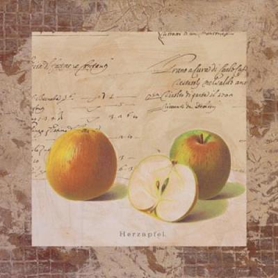 Apple Archive art print by Merri Pattinian