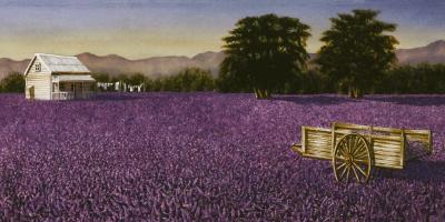 A Beautiful Life art print by Paul Coney
