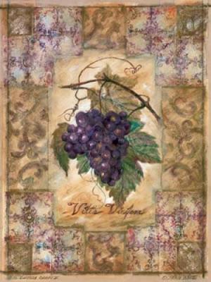 Vitis Vinifera Grape II art print by Shari White