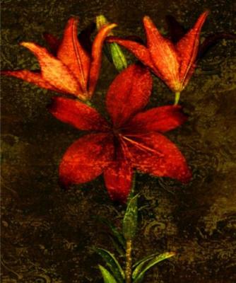 Red Lilies art print by John Seba