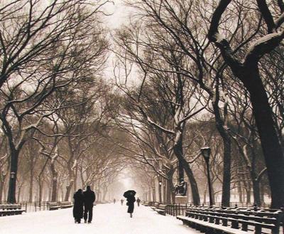 Central Park art print by Richard Calvo