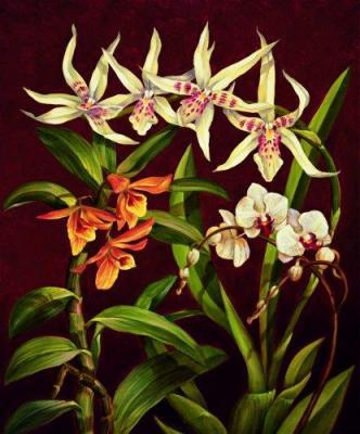 Orchid Trio I art print by Rodolfo Jimenez