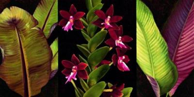 Red Orchids and Palm Leaves art print by Rodolfo Jimenez