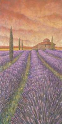 Soleil De Provence I art print by Stephen Mitchell