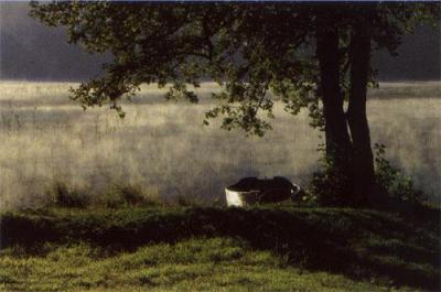 Lac d'Ilay art print by Andre Fiore