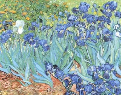 The Irises art print by Vincent Van Gogh