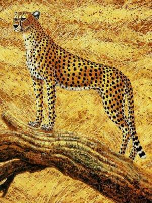 Gu�pard art print by Carriere