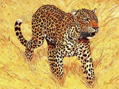 L�opard art print by Carriere
