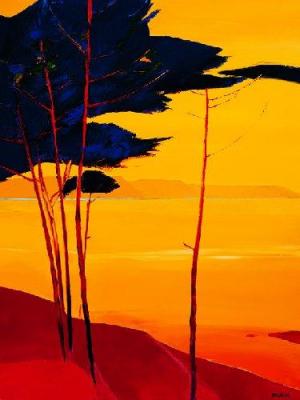 Pins maritimes