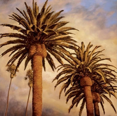 Fog Over Canary Palms art print by Rick Garcia