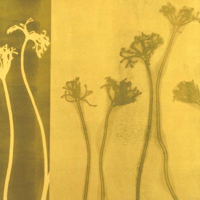 Stems 10