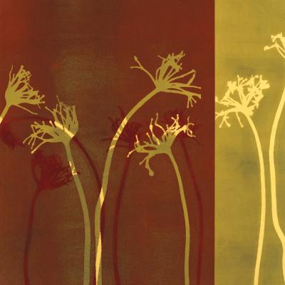 Stems 11