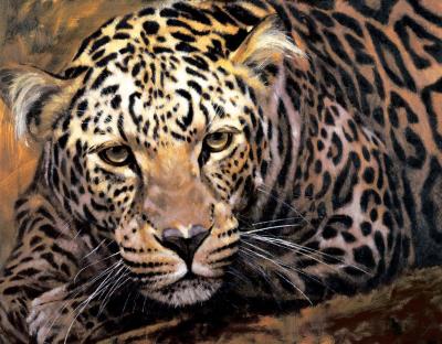 Leopard At The Ready art print by Stan Kaminski
