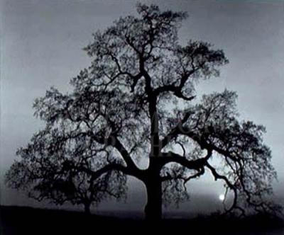 machinist prevailing wage california