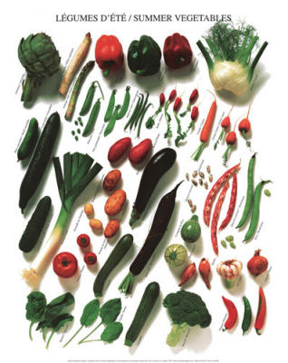 Summer Vegetables