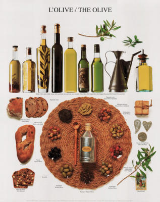 The Olive art print by Atelier