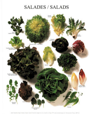 Salads