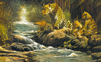 Watchful Eye art print by Craig Bone