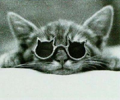 Kool Kat art print by David McEnery