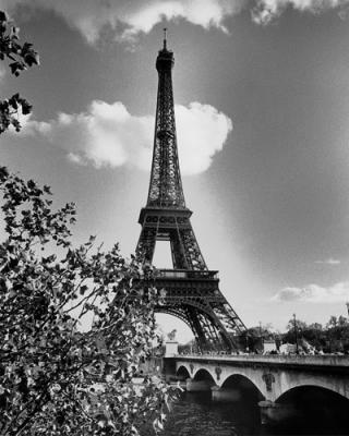 Eiffel Tower art print by Menard