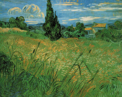 Green Wheat Fields art print by Vincent Van Gogh