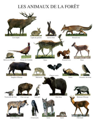 Les animaux de la for�t art print by Atelier